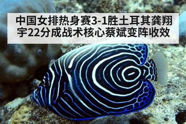 中国女排热身赛3-1胜土耳其龚翔宇22分成战术核心蔡斌变阵收效