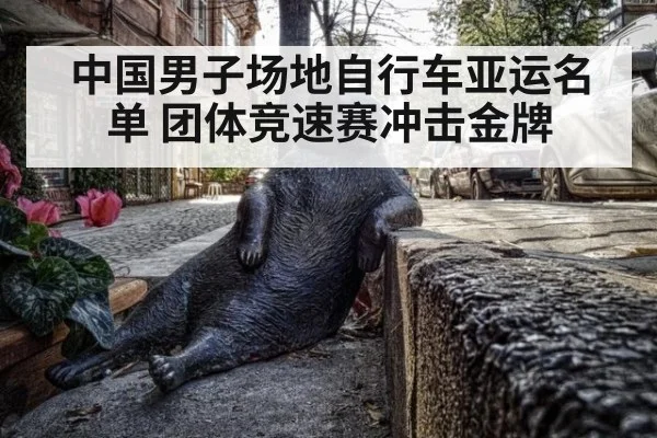 中国男子场地自行车亚运名单 团体竞速赛冲击金牌